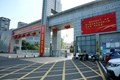 栽下梧桐树　引得凤凰来